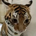 bt_Concerned_Sideeye