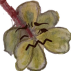 yikes Discord emoji