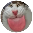 mlep