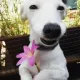 SMILESALLTHETIMES