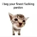 excuse_you