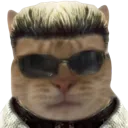 whisker whisker