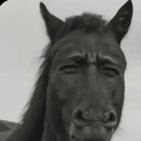 emoji_1 Discord Emoji - 𝐂𝐚𝐭𝐡𝐞𝐝𝐫𝐚𝐥 𝐨𝐟 𝐂𝐫𝐨𝐰𝐬