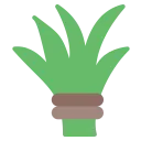 nk