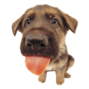 emoji_24 Discord Emoji | /angelic🪽