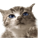 emoji_4 animated emote - /angelic🪽