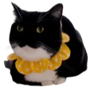 maxwellloaf