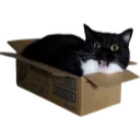 maxwellbox