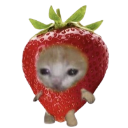 strawberrycatto custom emote | girls.exe (18+)