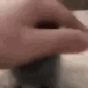 littleguygettingpet