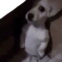 umm Discord Emoji from Drug Dealers