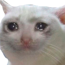 sadcat Discord Emoji - 🦅| United States Marine Corps