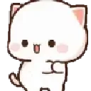 kittydance