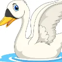 Swan