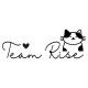 TeamRise