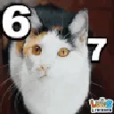 67cat