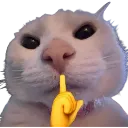 mog mog