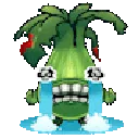 BokChoySad
