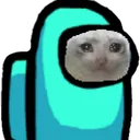 51277amonguskitty1