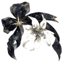 removed_bg Discord Emoji | /nyxs ﹒ᶻ 𝗓 𐰁♡