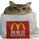 2_cathashbrown custom emote | /genuinely ₊˚・