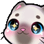 cat_boop animated Discord emote | ⋆˚𝜗 night owls 𝜚˚⋆