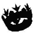 0_crown animated Discord emote from /genuinely ₊˚・