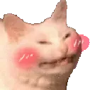 catblush