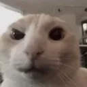 __