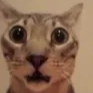 quetachendo Discord emoji