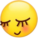 0_cutie Discord sticker - /genuinely ₊˚・