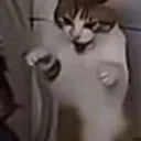 RAHHH
