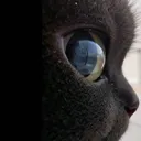 sideeye