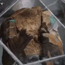 rocky_imitates