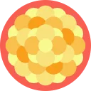 nk