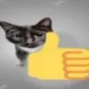 cat_thumbsup