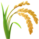 wilted_rice