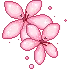 pink_twoflowers
