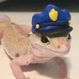 Gecko_Police