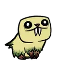 pip_bald_pip pip_bald_pip