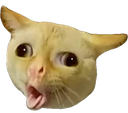 kittycough Discord sticker - girls.exe (18+)