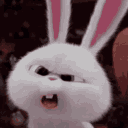 minnos animated emote from girls.exe (18+)