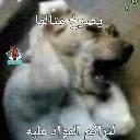 emoji_2 Discord sticker from سيرفر ديموقراطي جدن