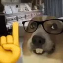 nerd