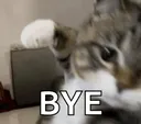 bye