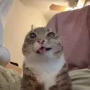 silly