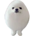 me
