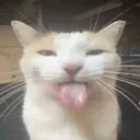emoji_19