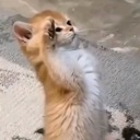 emoji_91 Discord Emoji | RON