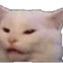 emoji_76 custom emote from Axᴇʟ